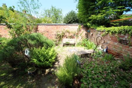 Garden (2)