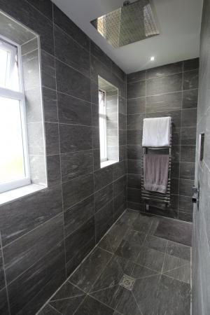 Shower/Wet Area