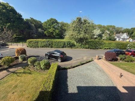 image12