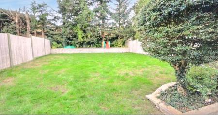 WhatsApp Image 20251208 at 110510_b52165fb.jpg