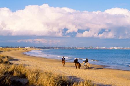 Studland