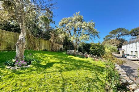 Communal Garden