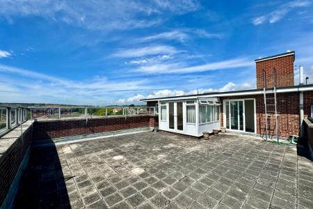 Main Roof Terrace