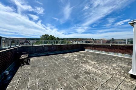 Main Roof Terrace