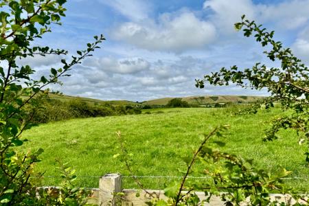 Adjoining Farmland