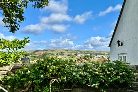 View from the Garden