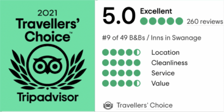 Trip Advisor Rating