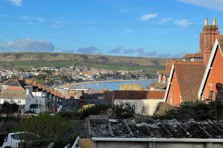 View from garden