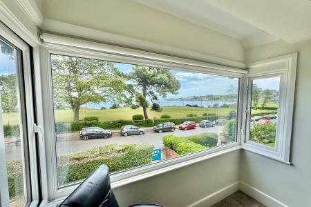 View from Living Room