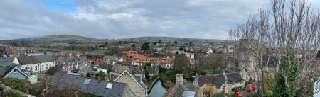 Panoramic View