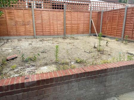 GARDEN.jpg