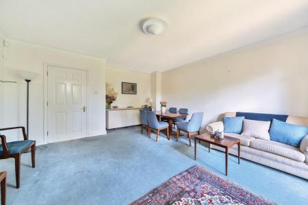 17295_4a5e48fb-faa5-4291-9e6d-7c6f3ec489dd_IMG_13_