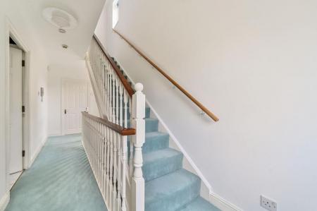 17295_4a5e48fb-faa5-4291-9e6d-7c6f3ec489dd_IMG_17_