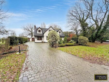 WhatsApp Image 2026-01-09 at 13.01.58 (3).jpg