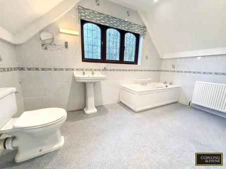 WhatsApp Image 2026-01-09 at 13.01.40.jpg