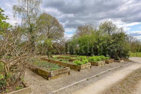 Rear Gardens