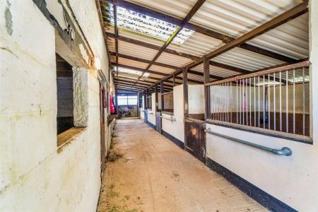 Stables