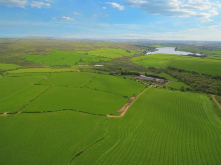 Siblyback Farm