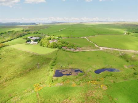 Siblyback Farm