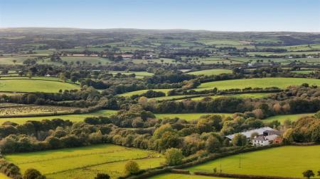 Cobden Farm