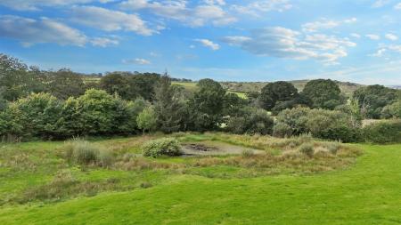 Wildlife Pond