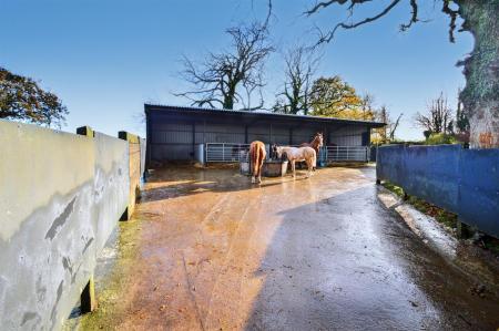 Horse Yard