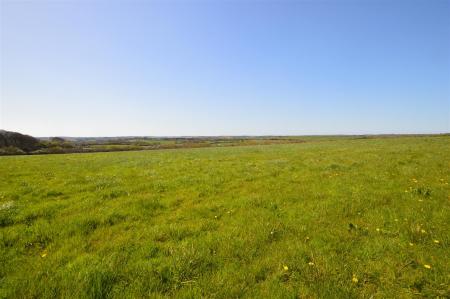 The Land