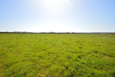 The Land