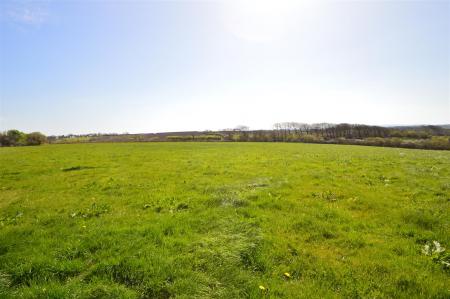 The Land