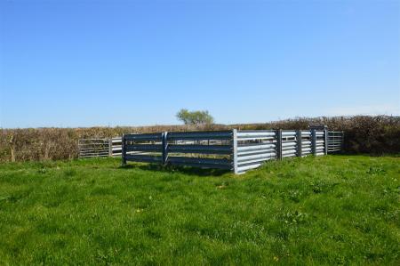 Livestock Handling Pen