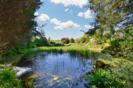 Mill Pond