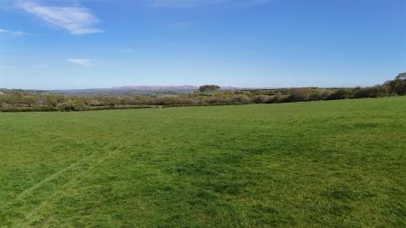 The Land