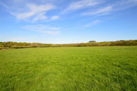 The Land