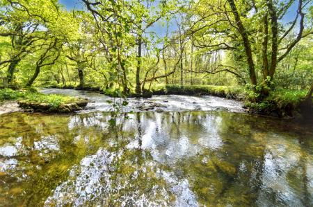 River Lyner