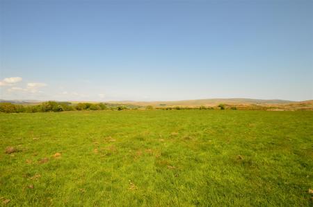 The Land