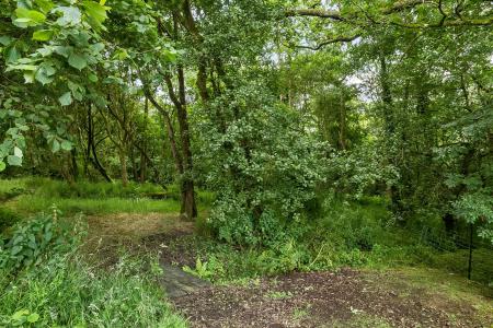 Woodland
