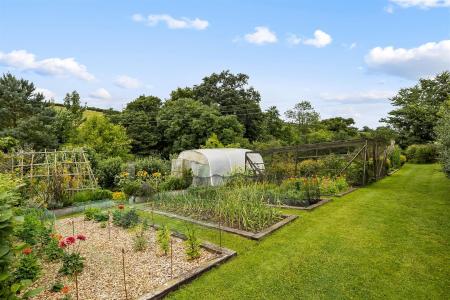 Vegetable Garden