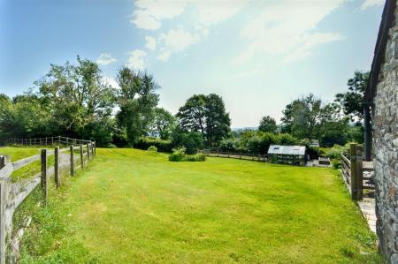 Paddock