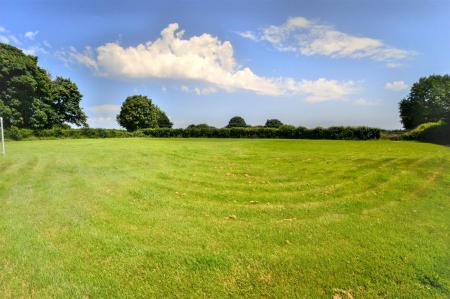 Paddock