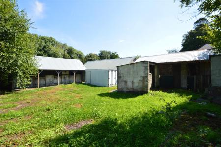Stables and Store