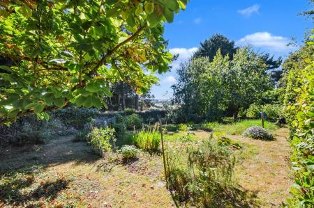 Walled Garden