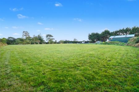 Paddock Garden