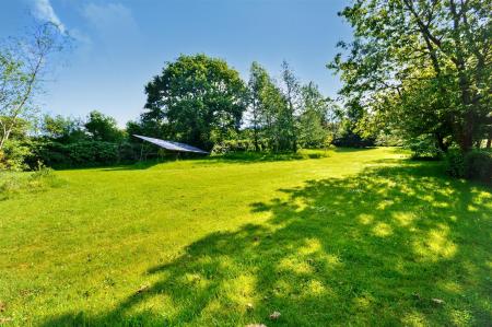 Garden & Solar Panels