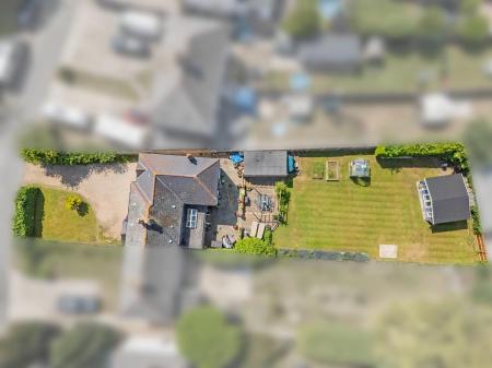 Aerial Image