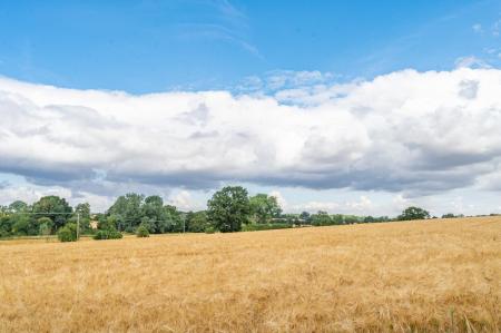 Countryside Views