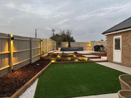 Night Shot Garden