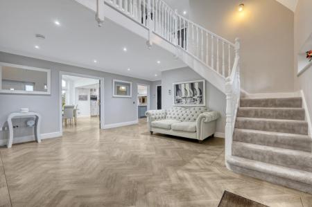 IMG_5310_3 copy 2.jpg