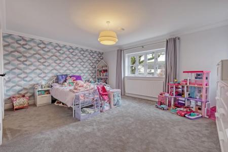 IMG_5553_38 copy 2.jpg