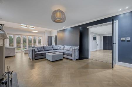 IMG_5329_6 copy 2.jpg