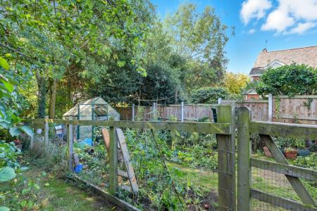 Vegetable Garden